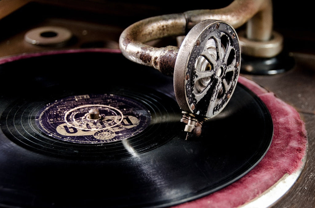 The Future of Vinyl in a Digital World