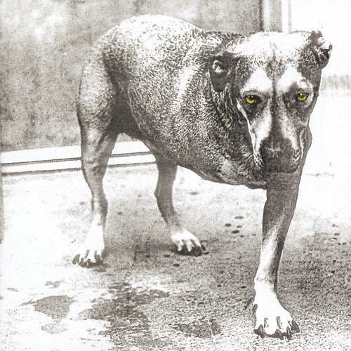 ALICE IN CHAINS - 3 LEGGED DOG