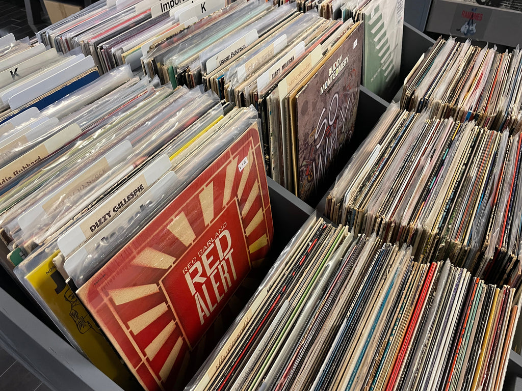 Vinyl Hunting 101: How to Find Rare Records Like a Pro