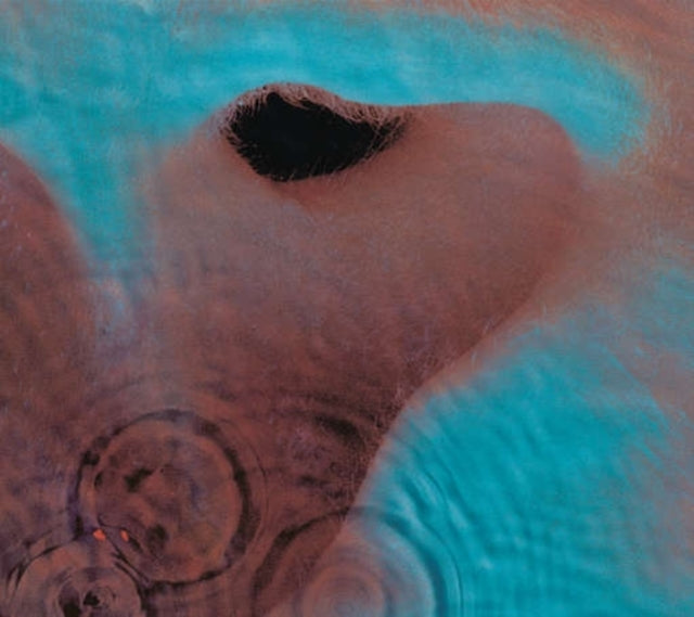 PINK FLOYD - MEDDLE