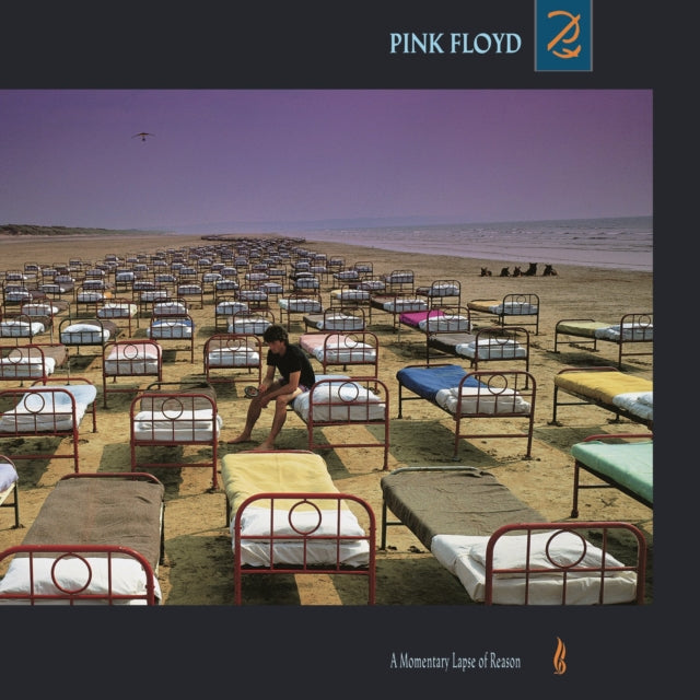 PINK FLOYD - MOMENTARY LAPSE OF REASON