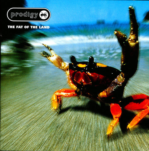PRODIGY - FAT OF THE LAND [LP]