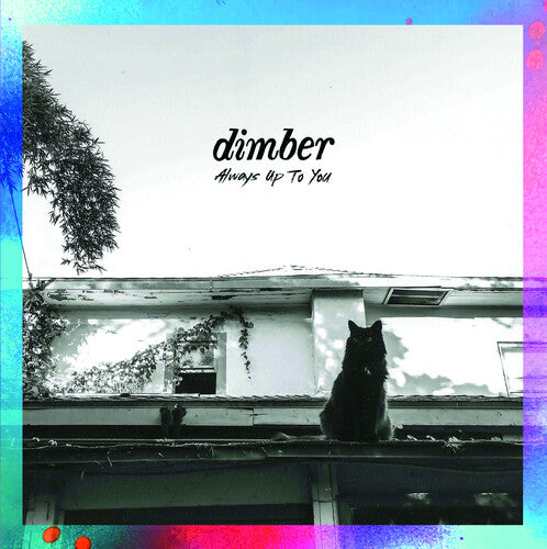 DIMBER - ALWAYS UP TO YOU
