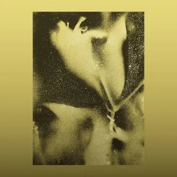 FLYING LOTUS - 1983 (RSD26)