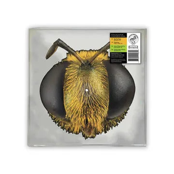 KING GIZZARD - BIG FIG WASP (RSD26)