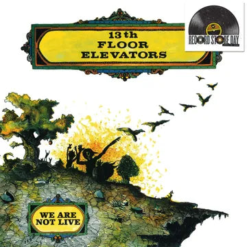 13TH FLOOR ELEVATORS - WE ARE NOT LIVE (RSD26)
