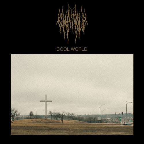 CHAT PILE - COOL WORLD [LP]