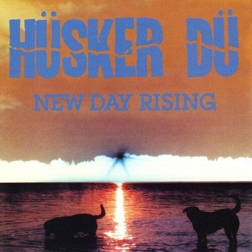 HUSKER DU - NEW DAY RISING
