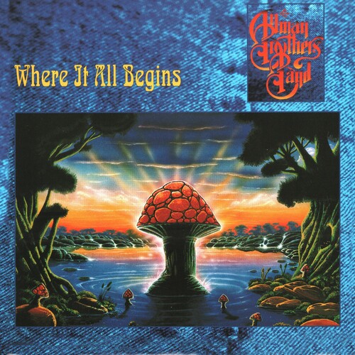 ALLMAN BROTHERS - WHERE IT ALL BEGINS
