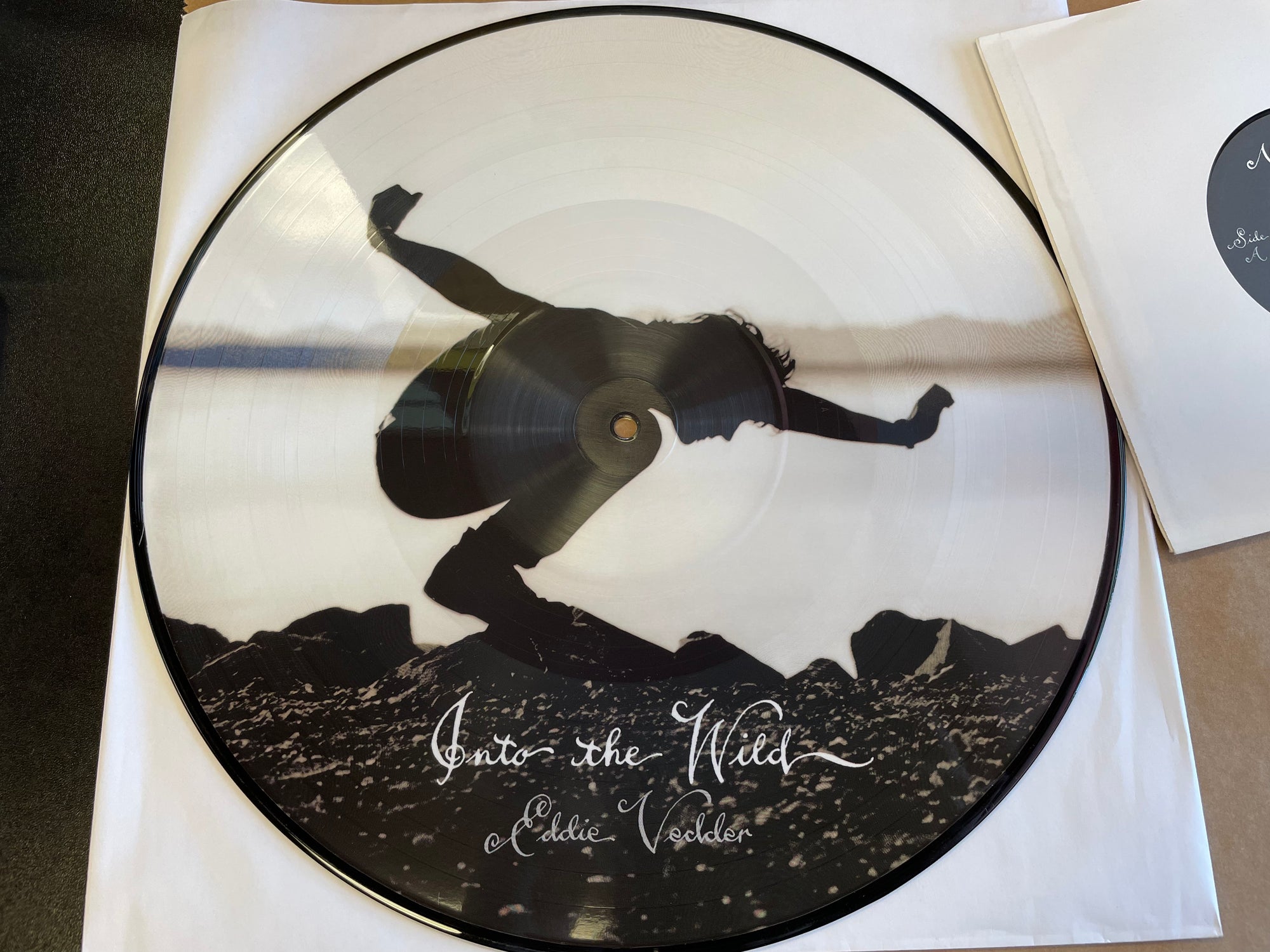 EDDIE VEDDER - INTO THE WILD; PROMO PIC DISC (USED VINYL)