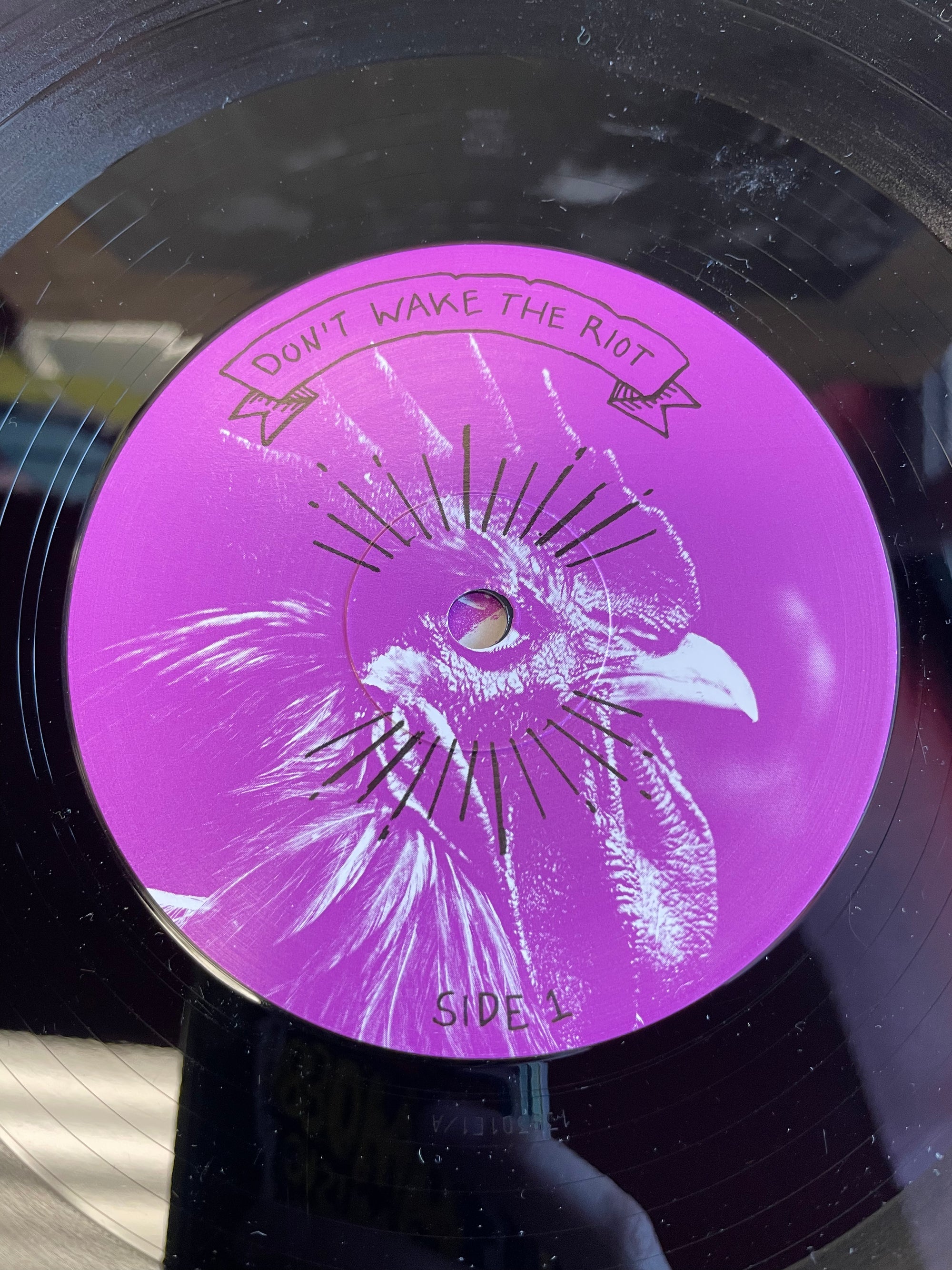 BLACK PISTOL FIRE - DON'T WAKE THE RIOT (USED VINYL)