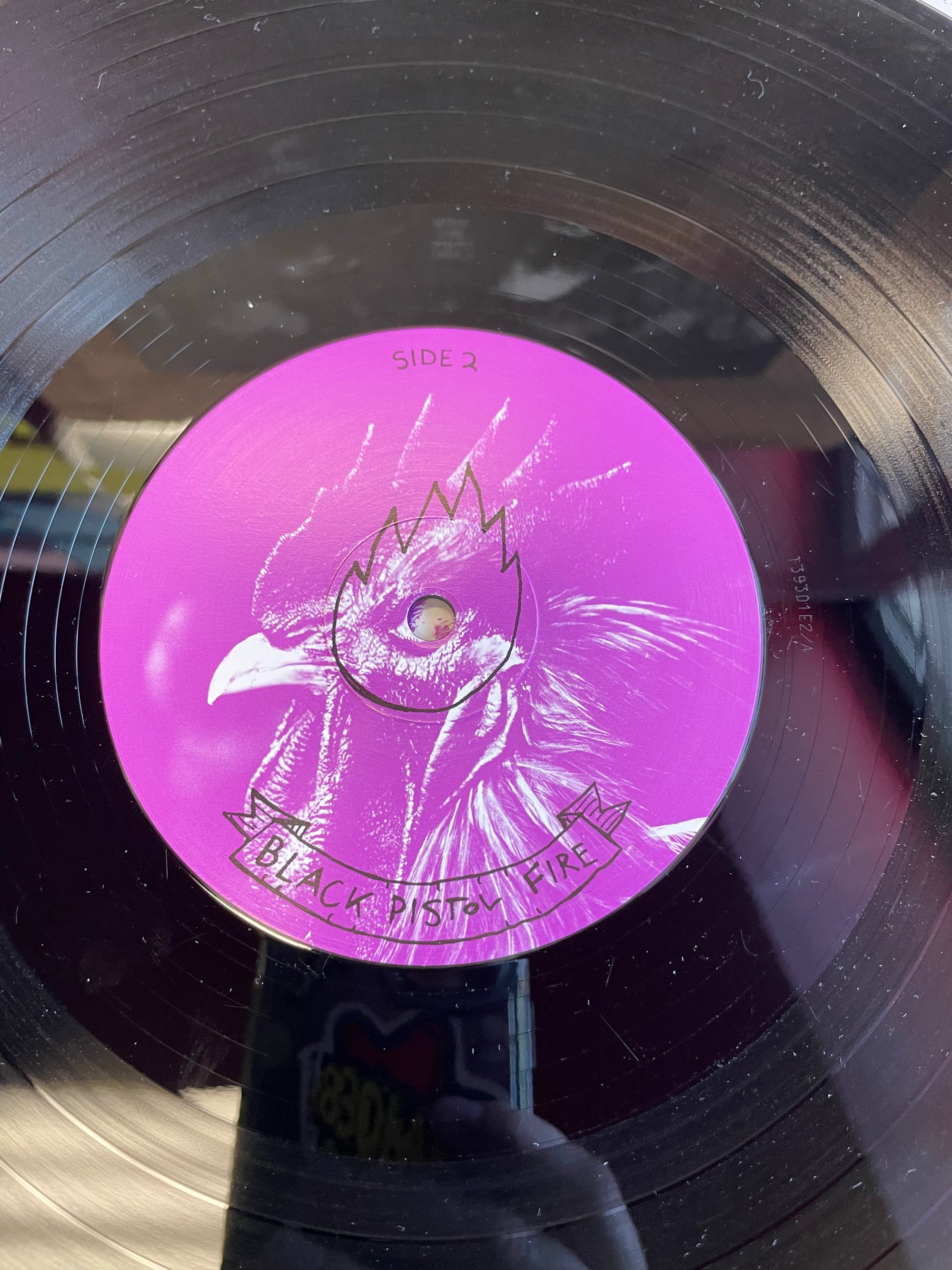BLACK PISTOL FIRE - DON'T WAKE THE RIOT (USED VINYL)