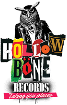 Vinyl Record Store logo