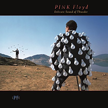 PINK FLOYD - DELICATE SOUND OF THUNDER